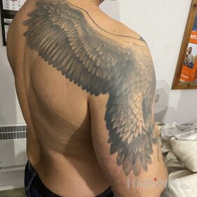Tattoo Wings on the back on the upper arm motif: black and gray style: graphic / illustrative