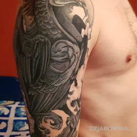 Tatuaż Feniks na ramieniu motyw: zwierzęta styl: neotradycyjne