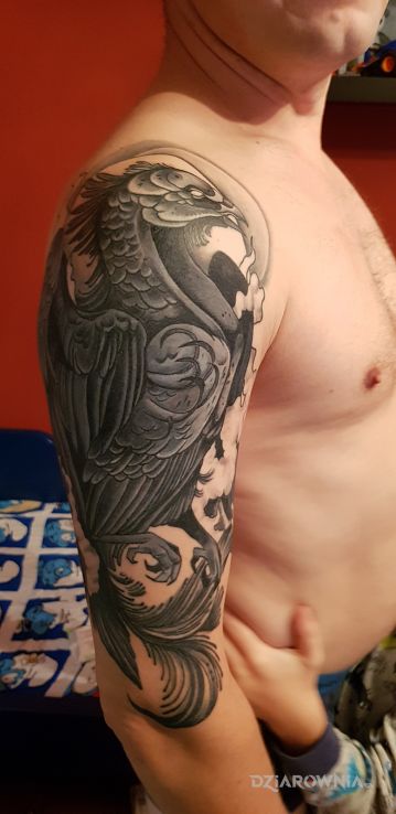 Tatuaż feniks w motywie czarno-szare i stylu neotradycyjne na ramieniu
