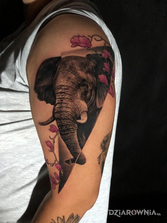 Tatuaż słoń z kwiatami wiśni w motywie czarno-szare i stylu realistyczne na ramieniu