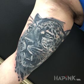 Tattoo Kitten on the upper arm motif: black and gray style: realistic