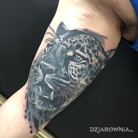 Tatuaż Kotek na ramieniu motyw: zwierzęta styl: realistyczne