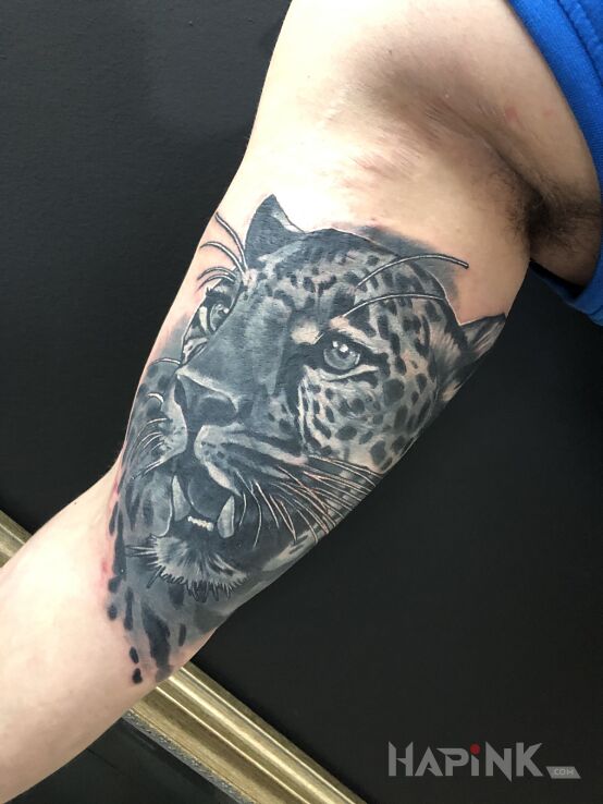 Tattoo Kotek in black and gray motif and realistic style on the upper arm