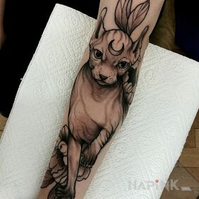 Tattoo Cat on the forearm motif: black and gray style: graphic / illustrative
