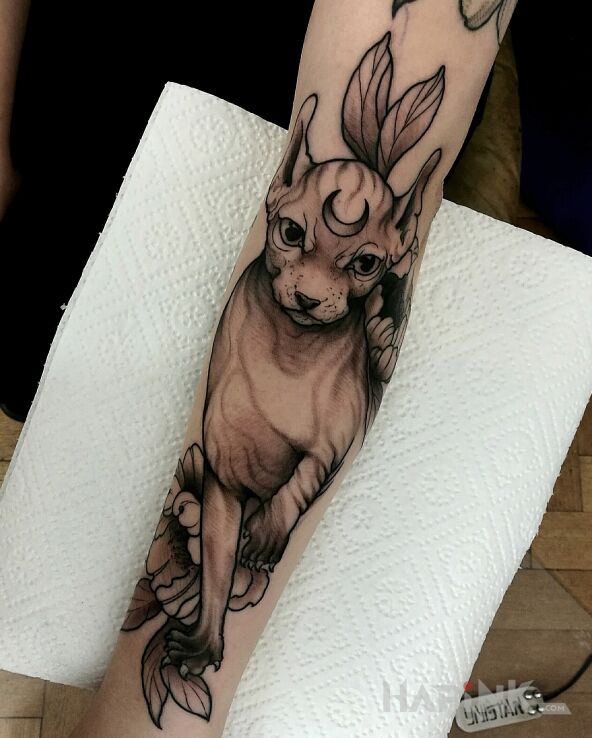 Tattoo Kot in animals motif and dotwork style on the forearm