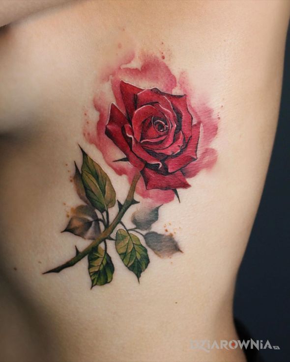 Tatuaż płonąca róża w motywie kolorowe i stylu realistyczne na żebrach