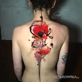 Tatuaż Cudowny mak na plecach motyw: kolorowe styl: watercolor