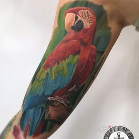 Tattoo Parrot on the upper arm motif: colorful style: realistic