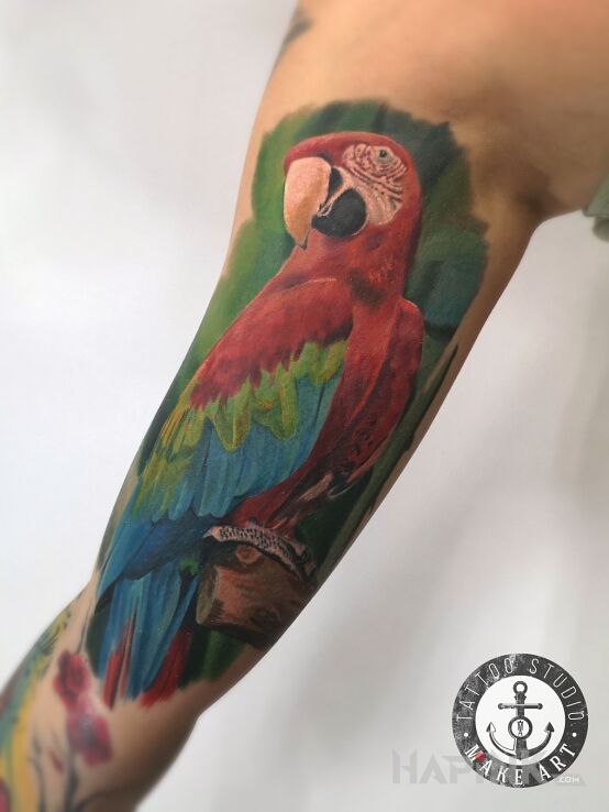 Tattoo Papuga in colorful motif and realistic style on the upper arm