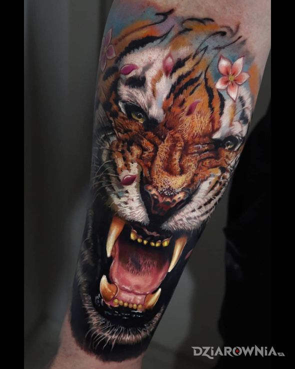 Tatuaż ryczący tygrys w motywie zwierzęta i stylu realistyczne na przedramieniu