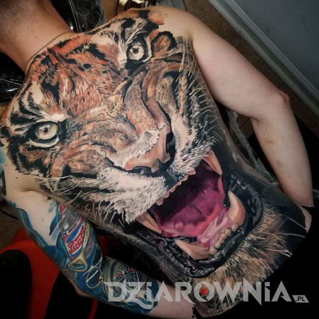 realistyczny tatuaż 3d tygrysa na całych plecach