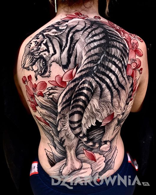 tatuaż biały chiński tygrys na męskich plecach