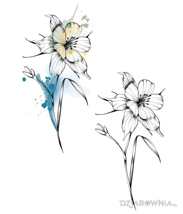 Wzór kwiaty z nutką watercoloru - graficzne / ilustracyjne