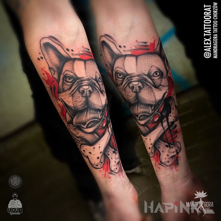 Tattoo Buldog francuski in animals motif and dotwork style on the forearm