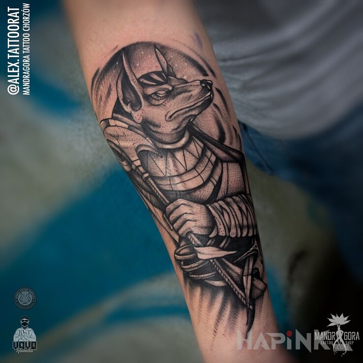 Tattoo Anubis in black and gray motif and graphic / illustrative style on the forearm