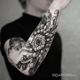 Tatuaż Chryzantema na przedramieniu motyw: kwiaty styl: graficzne / ilustracyjne