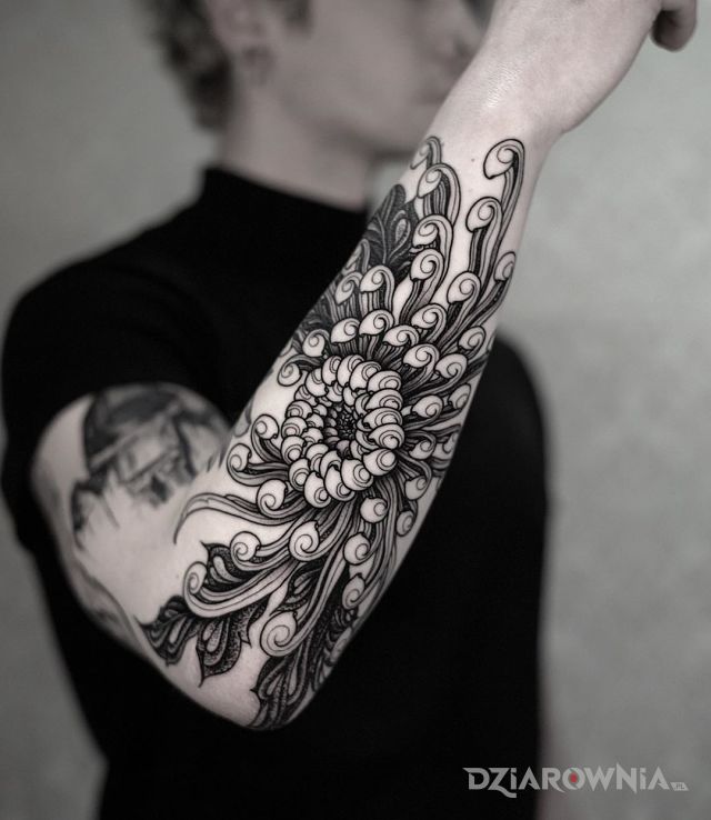 Tatuaż chryzantema w motywie kwiaty i stylu graficzne / ilustracyjne na przedramieniu