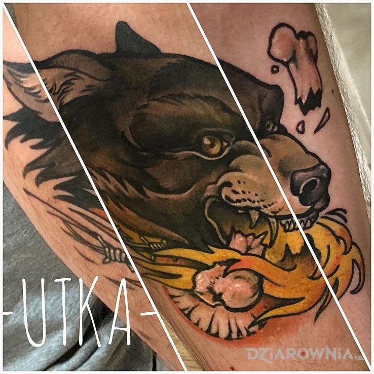 Tatuaż wilk w motywie zwierzęta i stylu neotradycyjne na nodze