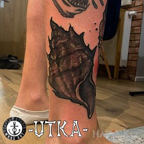 Tattoo Shell on the leg motif: objects style: graphic / illustrative