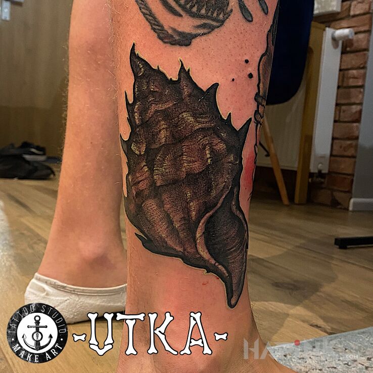 Tattoo Muszla in colorful motif and graphic / illustrative style on the leg