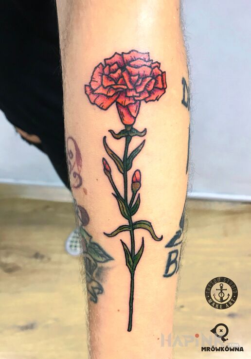 Tattoo Goździk in flowers motif and graphic / illustrative style on the forearm