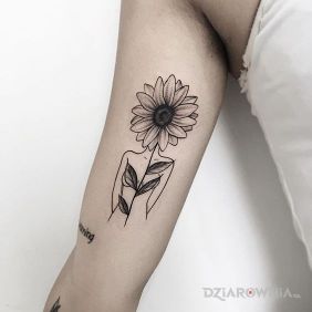 Tatuaż Słonecznikowa główka na ramieniu motyw: kwiaty styl: graficzne / ilustracyjne