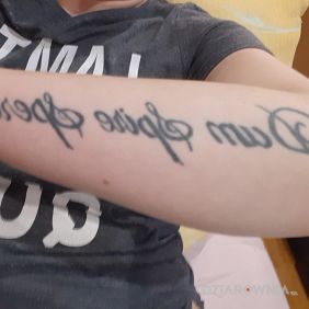 Tatuaż Dum spiro spero na przedramieniu motyw: napisy styl: kaligrafia