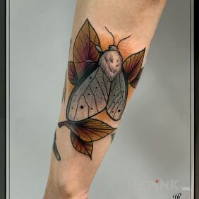 Tattoo Moth on the forearm motif: colorful style: neo-traditional