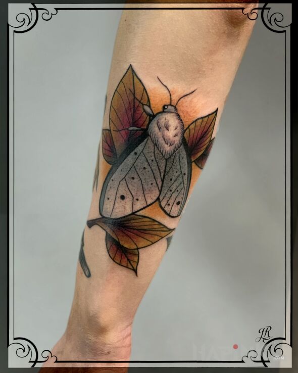 Tattoo Ćma in colorful motif and neo-traditional style on the forearm