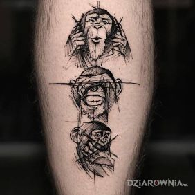 Tatuaż Małpki na łydce motyw: zwierzęta styl: szkic