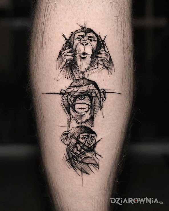 Tatuaż małpki w motywie czarno-szare i stylu szkic na łydce