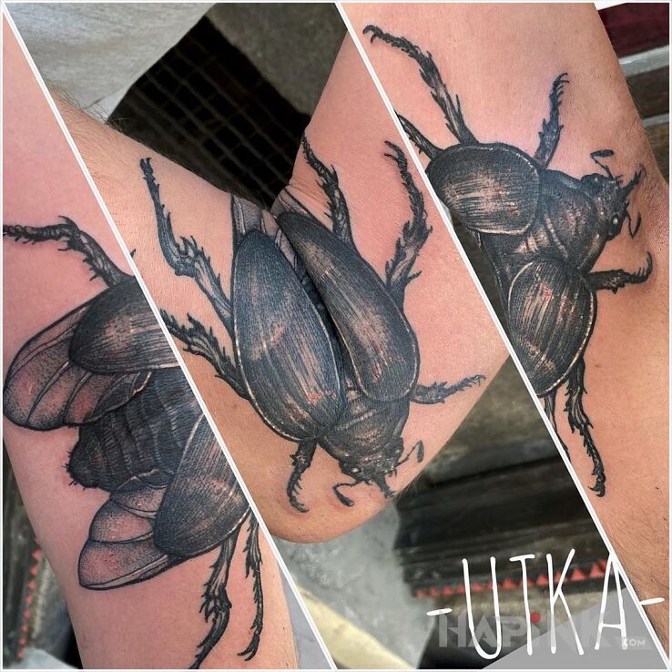 Tattoo Chrabąszcz in animals motif and graphic / illustrative style on the forearm