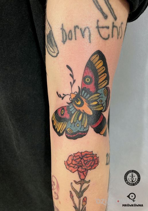 Tatuaż folkowy motyl w motywie kolorowe i stylu graficzne / ilustracyjne na przedramieniu