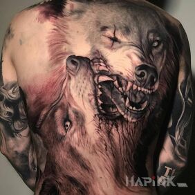 Tattoo Fighting wolves on the back motif: black and gray style: realistic