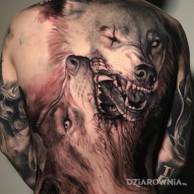 Tatuaż Walczące wilki na plecach motyw: zwierzęta styl: realistyczne