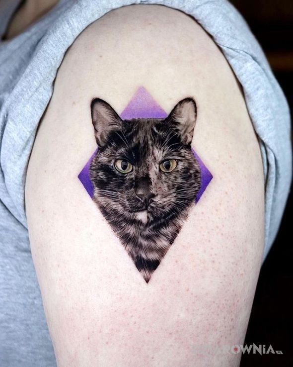Tatuaż czarny kociak w motywie zwierzęta i stylu realistyczne na ramieniu
