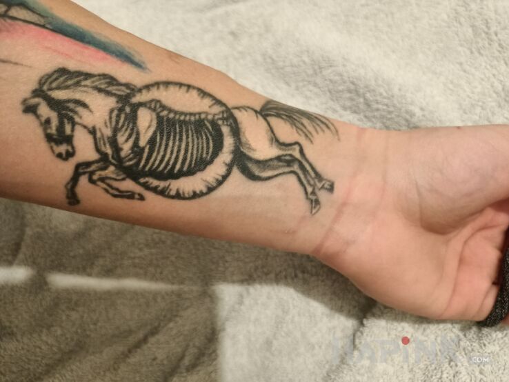 Tattoo Zwierzę też ma uczucia in black and gray motif and graphic / illustrative style on the forearm