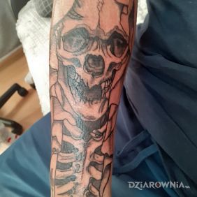 Tatuaż Czaszka na przedramieniu motyw: czarno-szare styl: graficzne / ilustracyjne