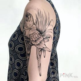 Tattoo Parrot on the upper arm motif: animals style: graphic / illustrative