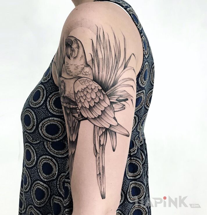 Tattoo Papuga in animals motif and graphic / illustrative style on the upper arm