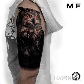 Tattoo Owl on the upper arm motif: black and gray style: realistic