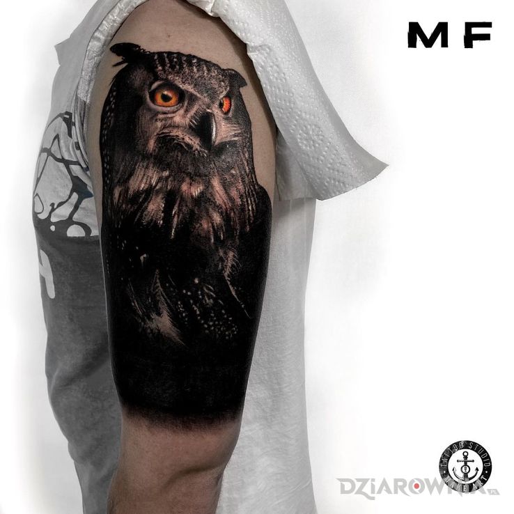 Tatuaż sowa w motywie czarno-szare i stylu realistyczne na ramieniu