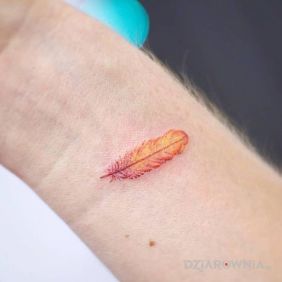 Tatuaż Pomarańczowe piórko na nadgarstku motyw: kolorowe styl: handpoke