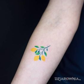 Tatuaż Trzy cytryny na przedramieniu motyw: kolorowe styl: handpoke