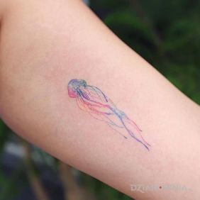 Tatuaż Meduza na ramieniu motyw: kolorowe styl: handpoke