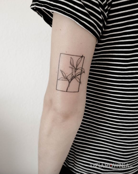 Tatuaż kwiat w ramce w motywie kwiaty i stylu handpoke na ramieniu