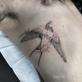 Tatuaż Jaskółka z drutem kolczastym na żebrach motyw: zwierzęta styl: handpoke