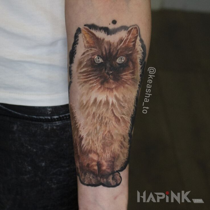 Tattoo Kotek in animals motif and realistic style on the forearm