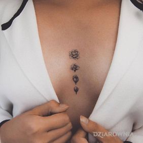 Tatuaż Fazy rozy na klatce motyw: czarno-szare styl: graficzne / ilustracyjne