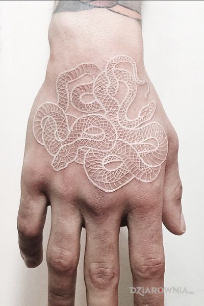 Tatuaż biały wąż w motywie zwierzęta i stylu biały tusz na dłoni